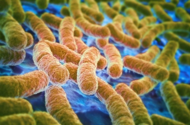 Chống lại khuẩn E.coli nhờ thiết bị cảm ứng mới