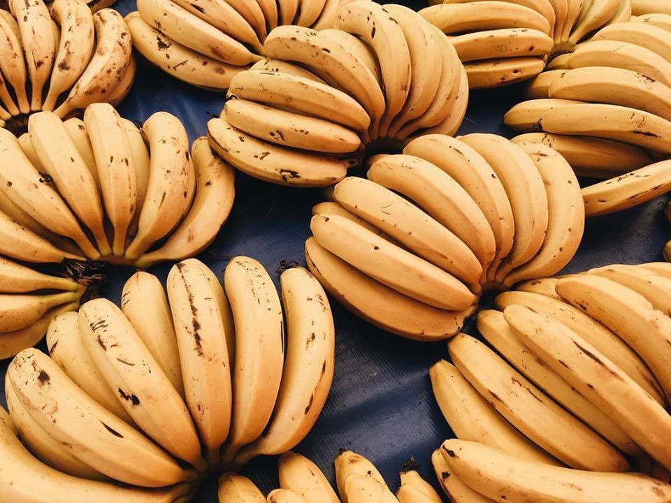 Thương hiệu phân phối trái cây Amazone Selva Food chuẩn hóa công thực chọn lọc để tránh lãng phí thực phẩm  