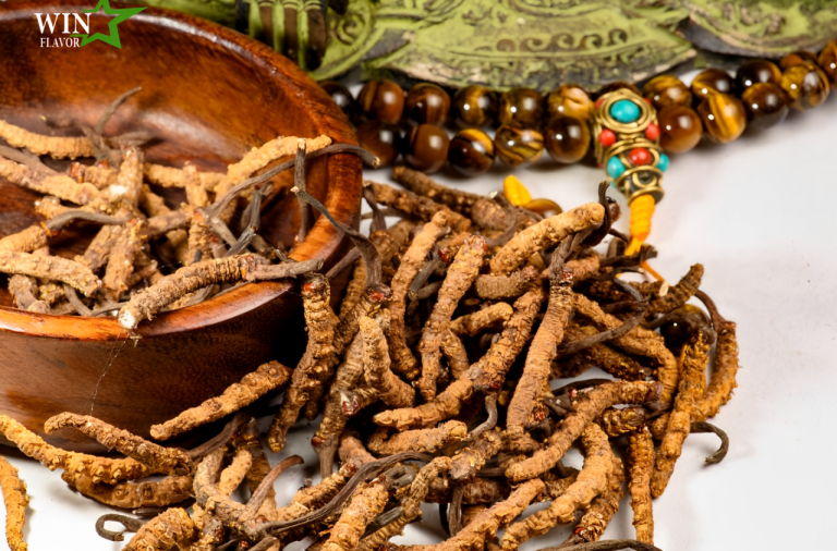 Chiết Xuất Đông Trùng Hạ Thảo: Thần Dược Từ Thiên Nhiên